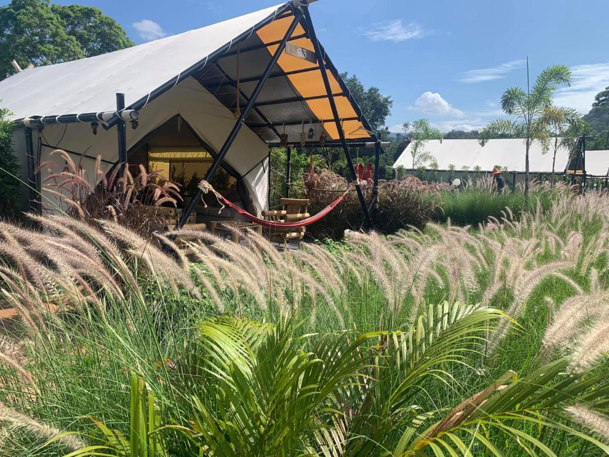 Mont Blanc Glamping Khao Yai Hotel Khao Yai National Park Eksteriør billede